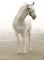 Аватар пользователя Лошадь Белая