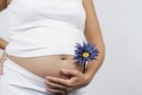 беременная женщина с цветком